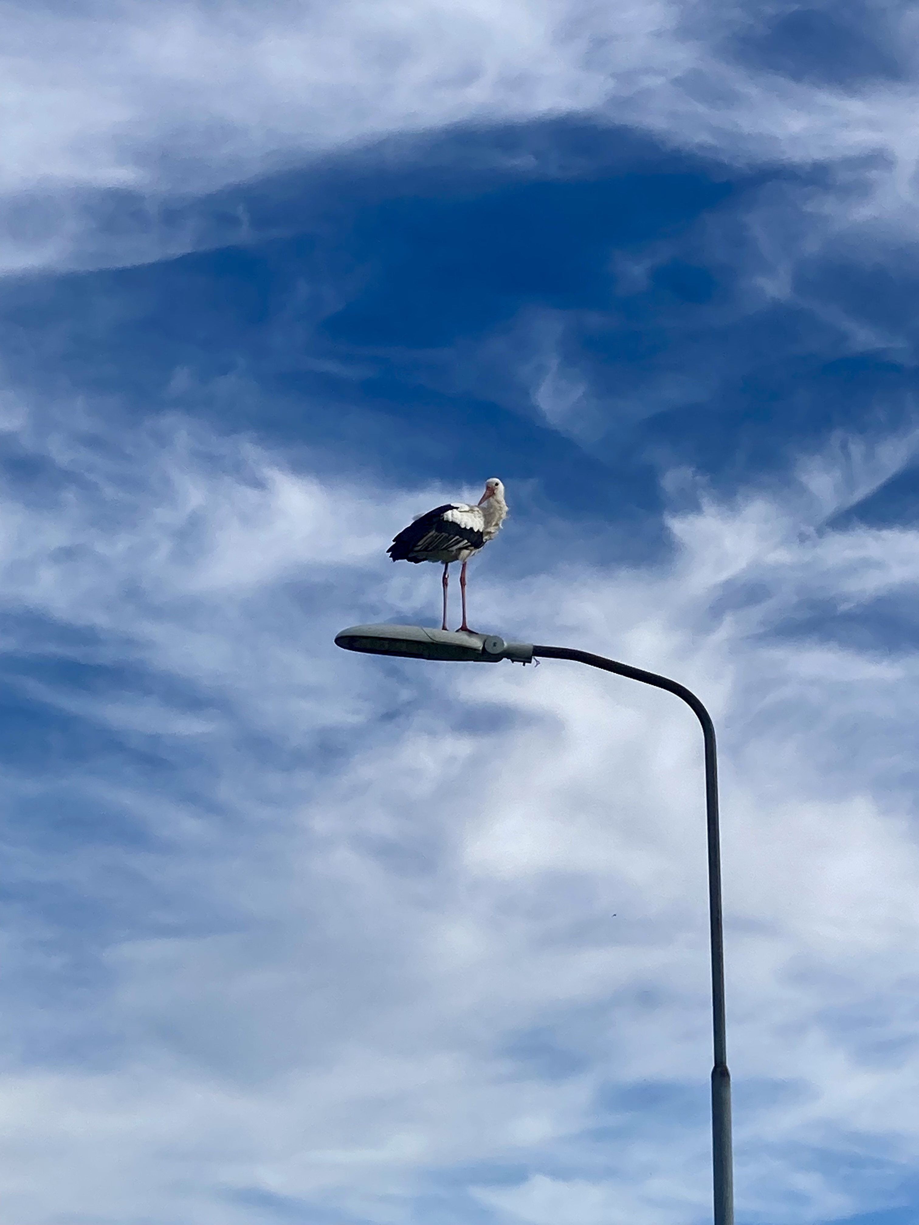 Zen.nl, Zen, meditatie, leren mediteren, foto